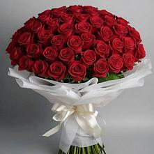 Букет 101 Красная роза Блэк Мэджик в Старобжегокай