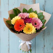 Букет цветов из:  Герберы #REPLACE_PRED# Старобжегокай