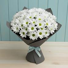 Букет цветов из:  Хризантемы в Старобжегокай