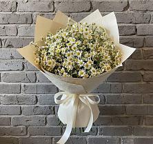 Букет цветов из:  Ромашки в Старобжегокай