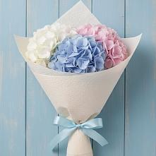 Букет цветов из:  Гортензия в Старобжегокай
