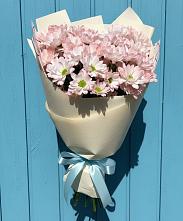 Букет цветов из:  Хризантемы #REPLACE_PRED# Старобжегокай