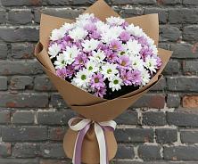 Букет цветов из:  Хризантемы #REPLACE_PRED# Старобжегокай