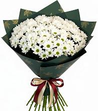 Букет цветов из:  Хризантемы в Старобжегокай