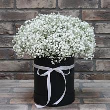 Цветочная композиция из Гипсофила в шляпной коробке в Старобжегокай