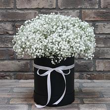 Цветочная композиция из Гипсофила в шляпной коробке в Старобжегокай
