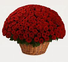 Премиум букет из: Розы в Старобжегокай